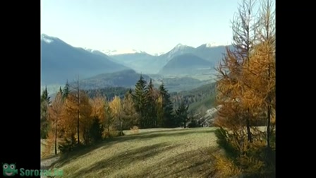 A Hegyidoktor 1. évad 14. rész