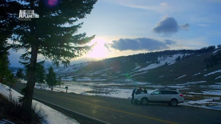 A kutyák igaz története 1. évad 02. rész