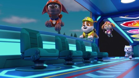 A mancs őrjárat 10. évad 10. rész