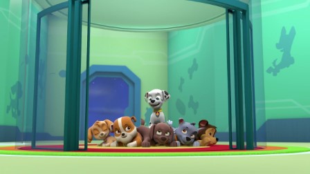 A mancs őrjárat 10. évad 11. rész