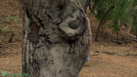 A nevem Earl 4. évad 12. rész