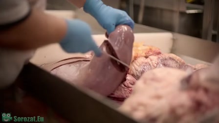 Adam Conover: K mint kormány 1. évad 01. rész