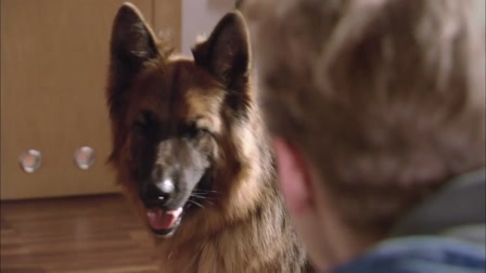 Alex felügyelő 1. évad 12. rész