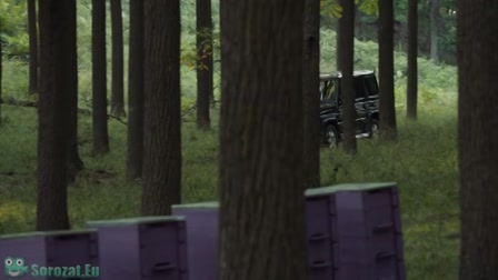 Aranyélet 3. évad 06. rész