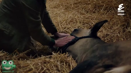 Az élet dicsérete 2. évad 04. rész