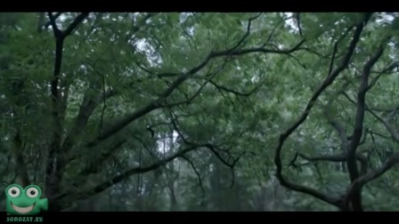 Batwoman 3. évad 04. rész