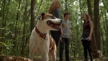 Búra alatt 1. évad 09. rész