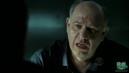 CSI: Helyszínelők 10. évad 09. rész