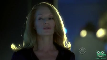 CSI: Helyszínelők 10. évad 13. rész