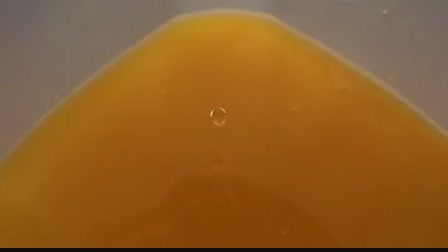 CSI: Miami helyszinelők 1. évad 15. rész