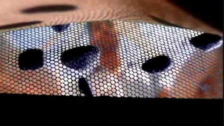 CSI: Miami helyszinelők 4. évad 03. rész