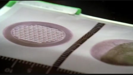 CSI: Miami helyszinelők 5. évad 09. rész