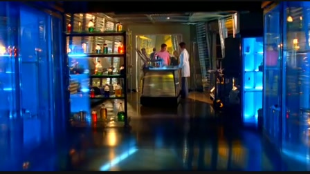 CSI: Miami helyszinelők 7. évad 22. rész