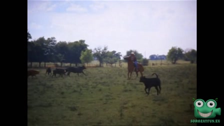 Dallas 7. évad 06. rész