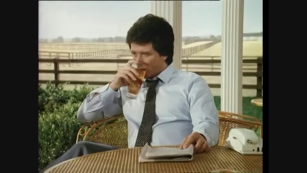 Dallas 8. évad 14. rész