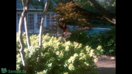 Dallas 12. évad 12. rész