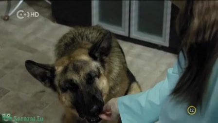 Egyik kutya, másik eb  1. évad 19. rész