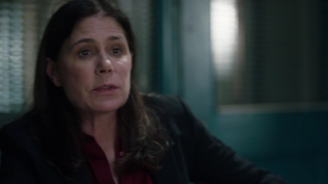 Esküdt ellenségek 24. évad 17. rész