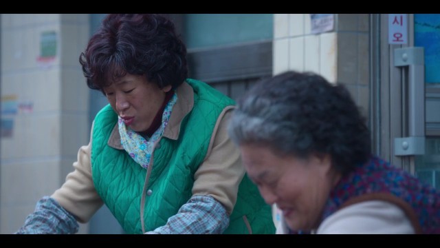 Ha az élet mandarinnal kínál... 1. évad 10. rész