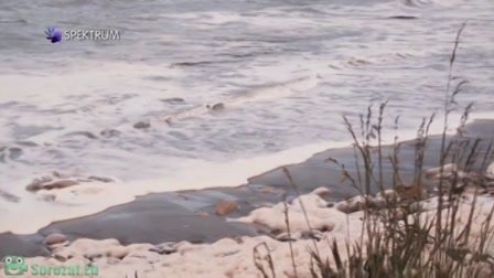 Lenyűgöző bolygónk, a Föld 1. évad 06. rész