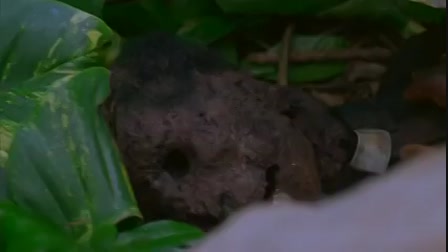 Lost - Eltűntek 2. évad 10. rész