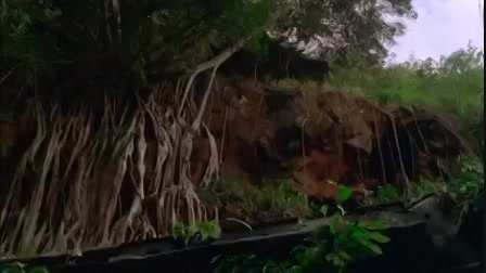 Lost - Eltűntek 2. évad 21. rész