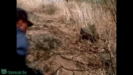 Magnum 3. évad 05. rész