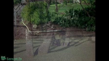 Magnum 6. évad 14. rész