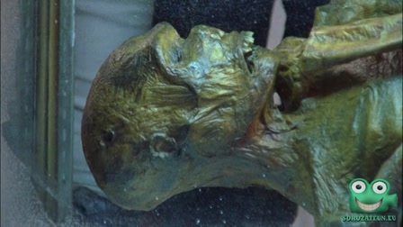 Monk - A flúgos nyomozó 3. évad 10. rész