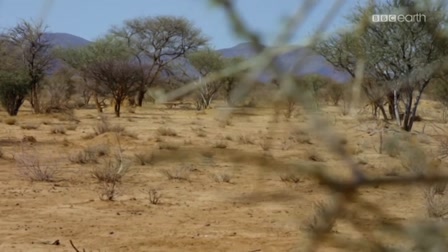 Nagymacskák 1. évad 01. rész