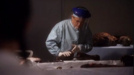 NCIS Tengerészeti helyszínelők 7. évad 20. rész