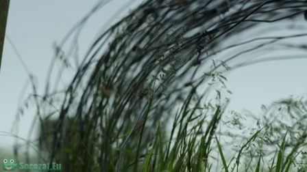 Shetland 2. évad 02. rész