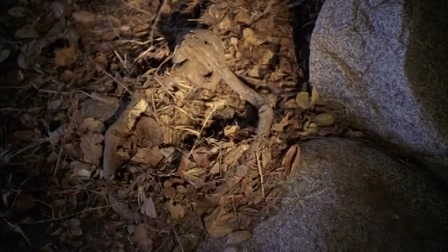 Szellemekkel suttogó 4. évad 15. rész