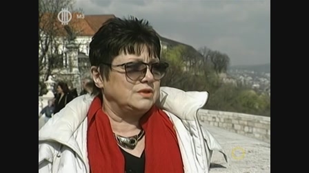 Szomszédok 8. évad 07. rész