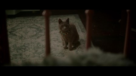 Theodosia 1. évad 22. rész