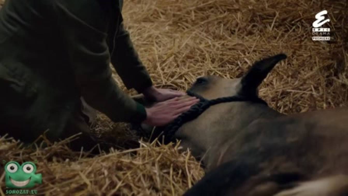 Az élet dicsérete 2. évad 04. rész