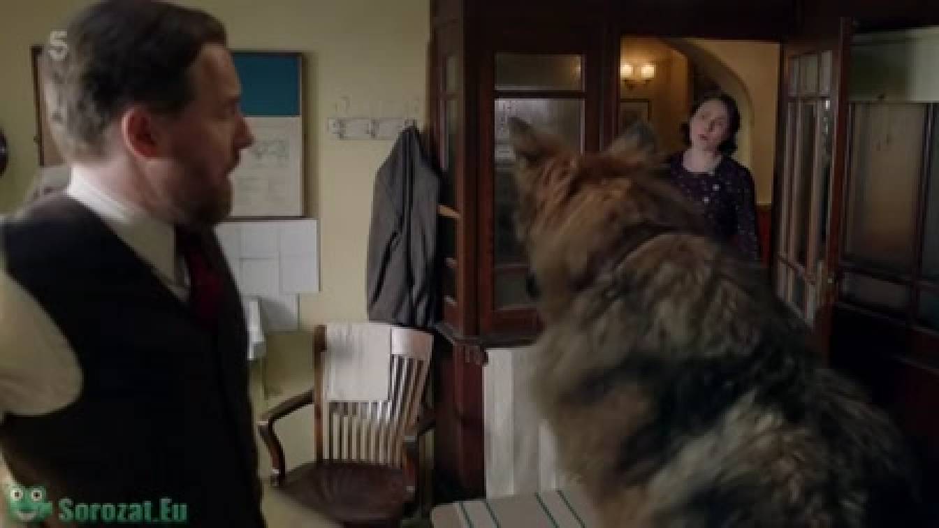 Az élet dicsérete 3. évad 01. rész