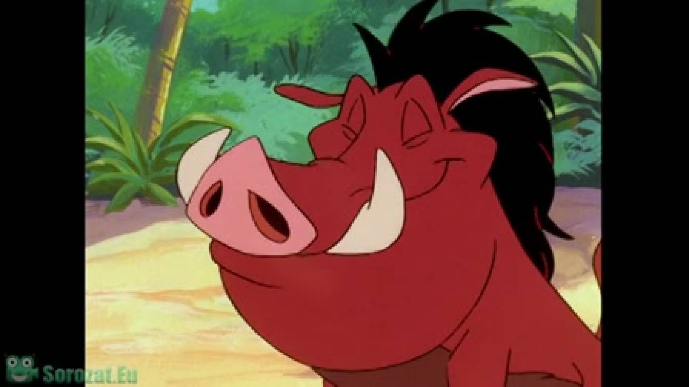 Timon és Pumbaa 1. évad 08. rész
