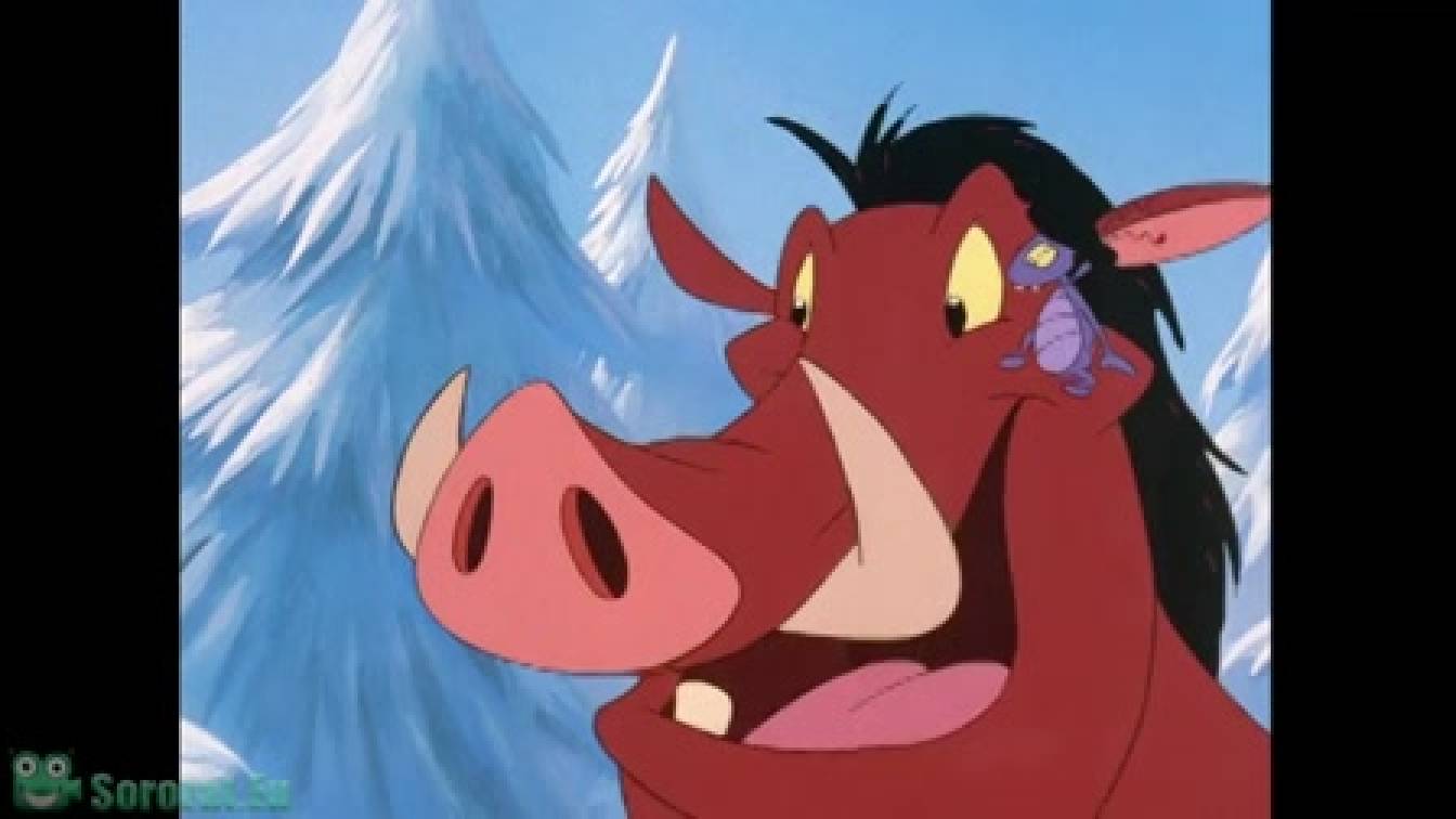 Timon és Pumbaa 1. évad 09. rész