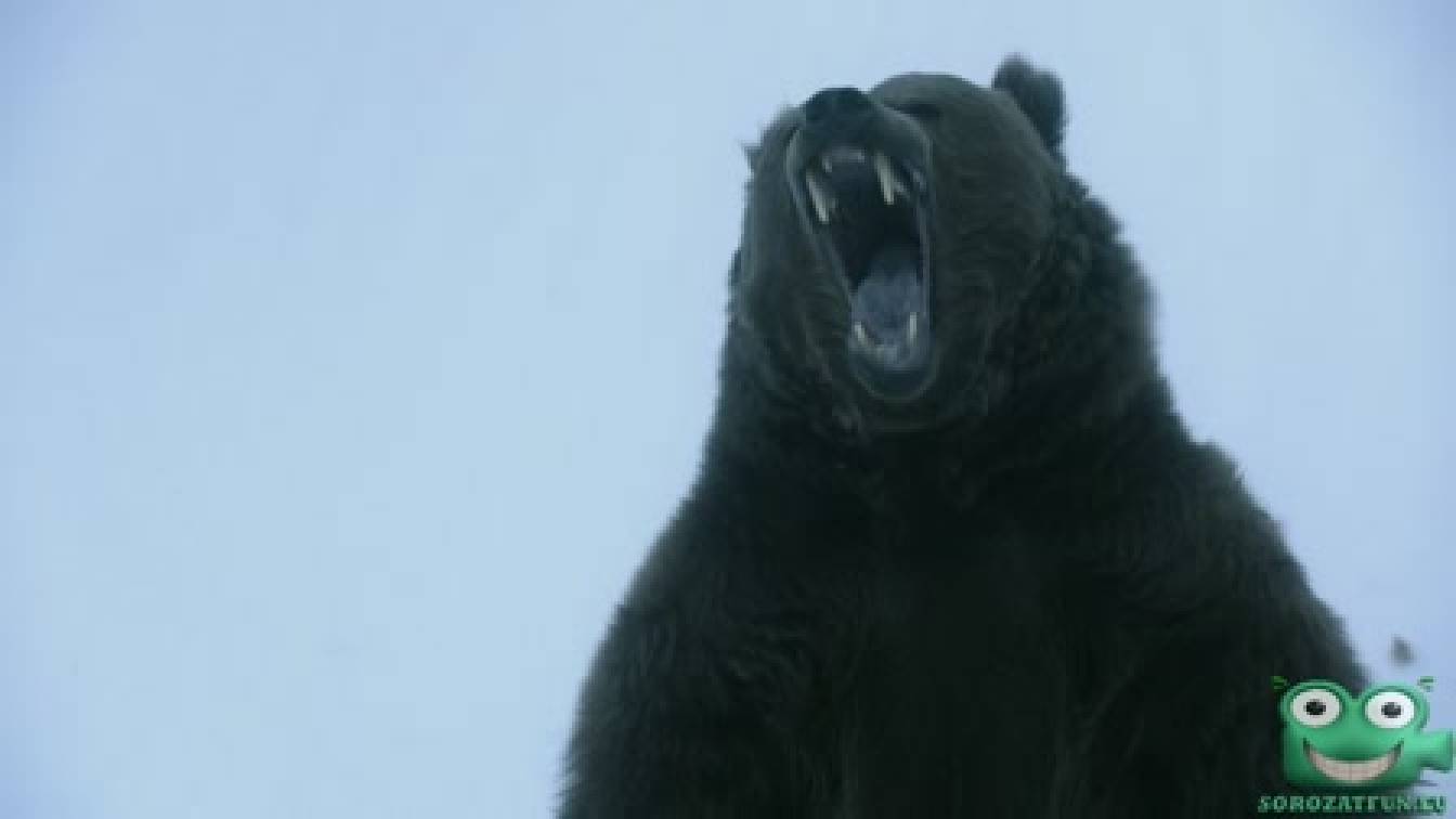 Vikingek 4. évad 03. rész