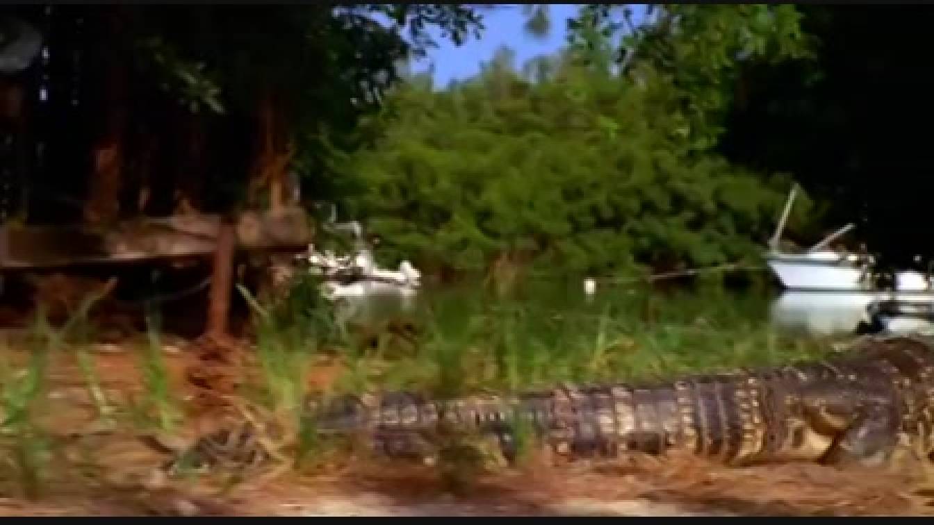 CSI: Miami helyszinelők 6. évad 01. rész