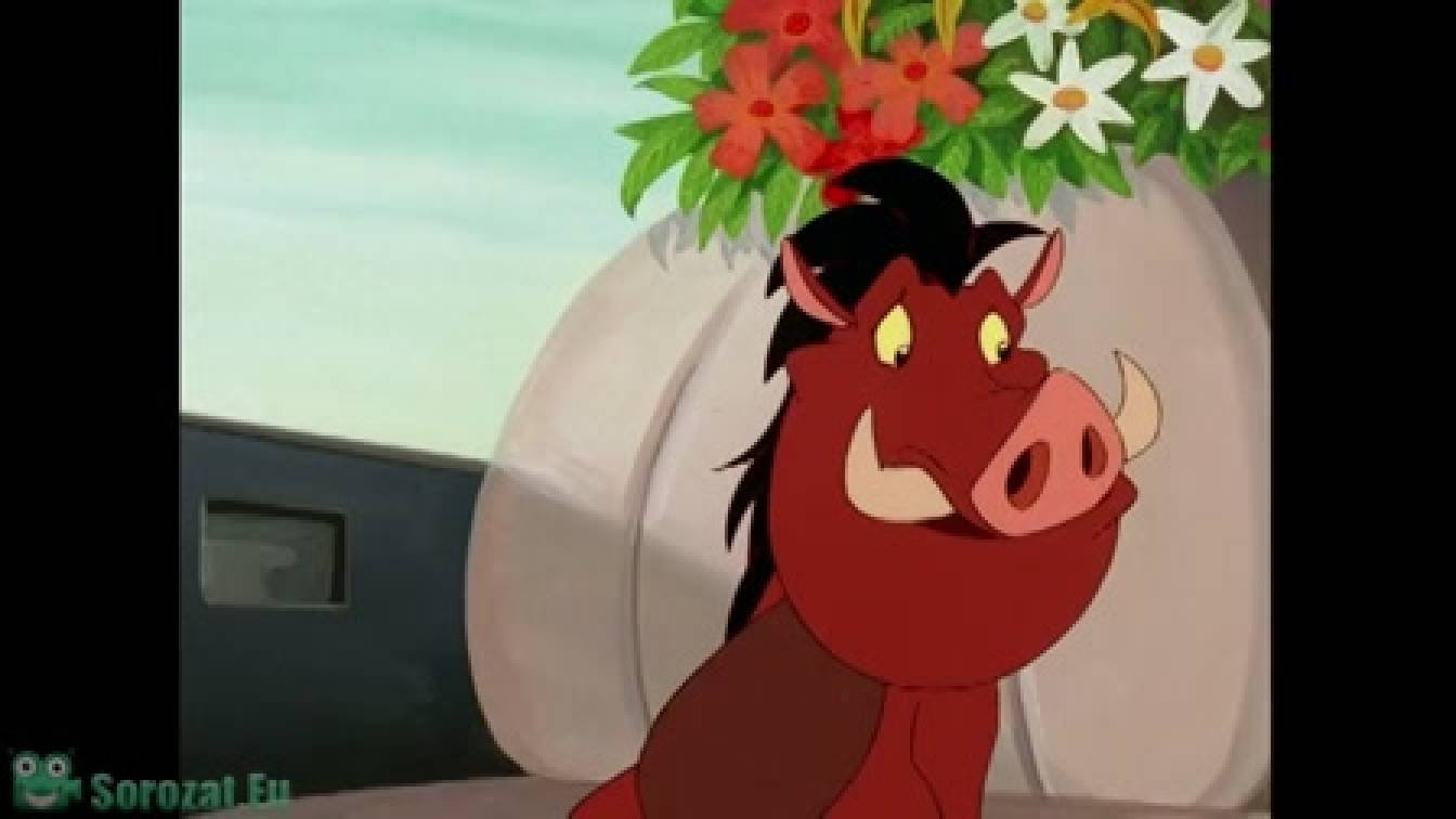 Timon és Pumbaa 3. évad 04. rész