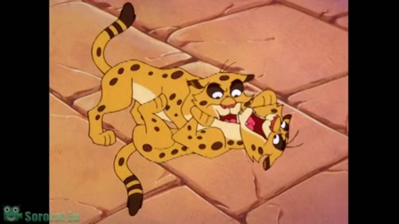 Timon és Pumbaa 3. évad 22. rész