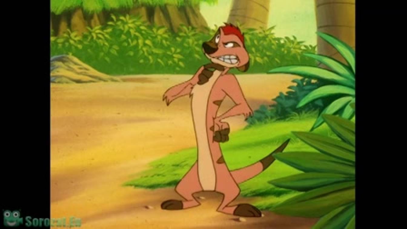 Timon és Pumbaa 3. évad 24. rész