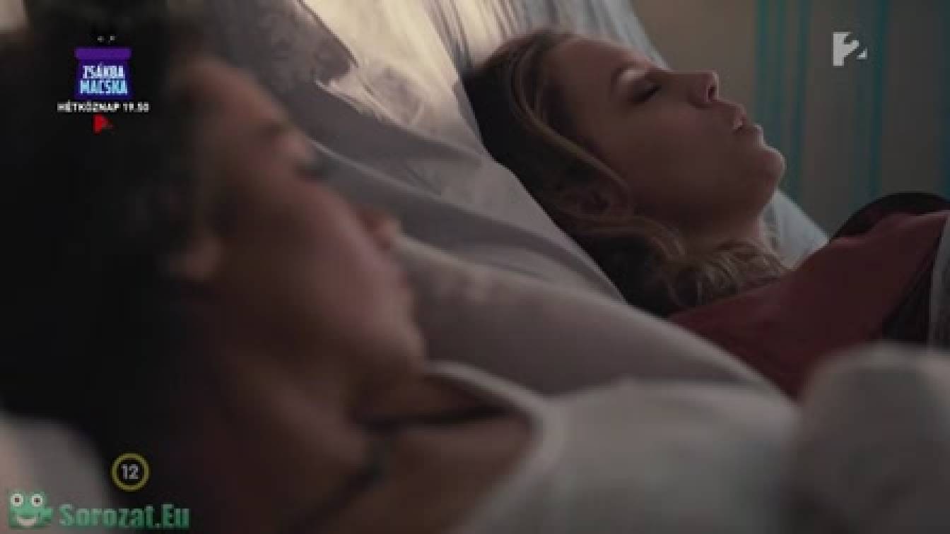 Hazatalálsz 1. évad 37. rész