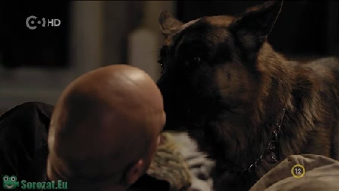 Egyik kutya, másik eb  1. évad 09. rész