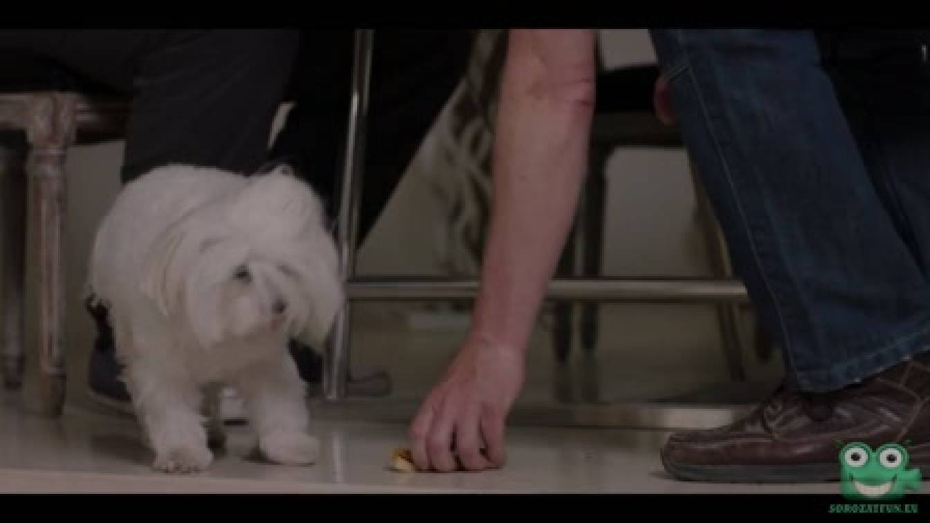 Egyszer volt Budán Bödör Gáspár 1. évad 05. rész