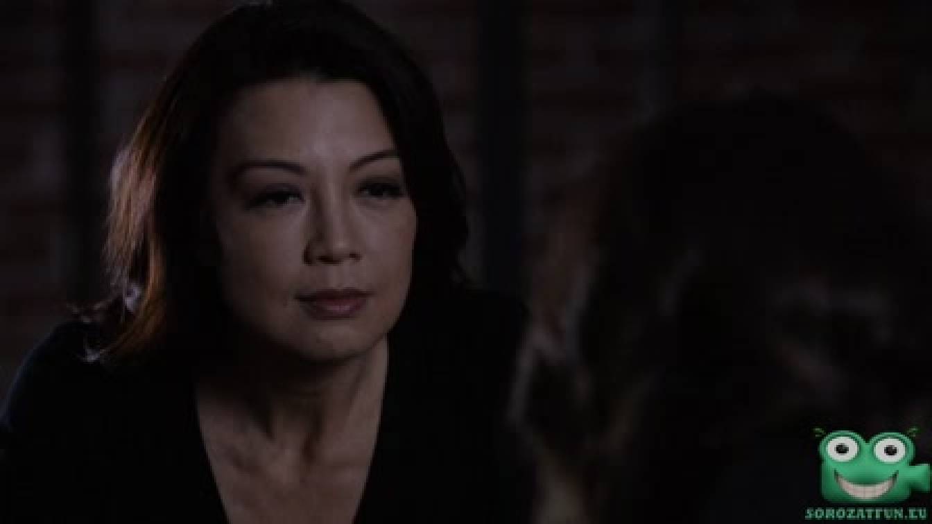 A SHIELD ügynökei 3. évad 15. rész