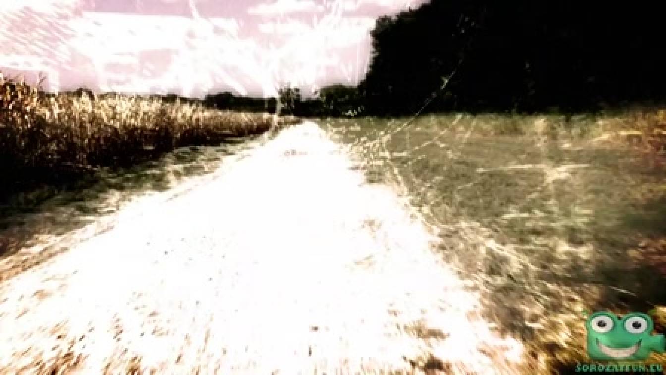 Szökés 2. évad 17. rész