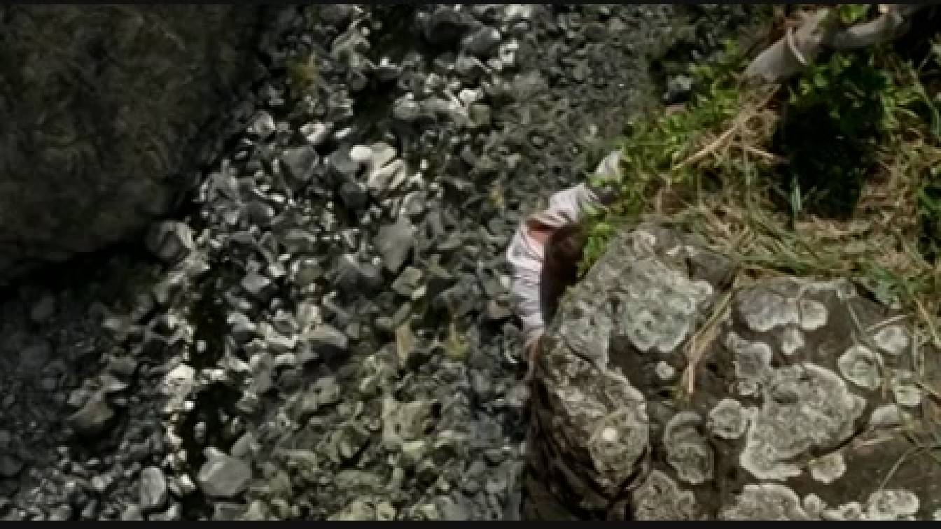 Lost - Eltűntek 1. évad 05. rész